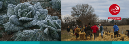 Copie de TdL servlet ImageServer