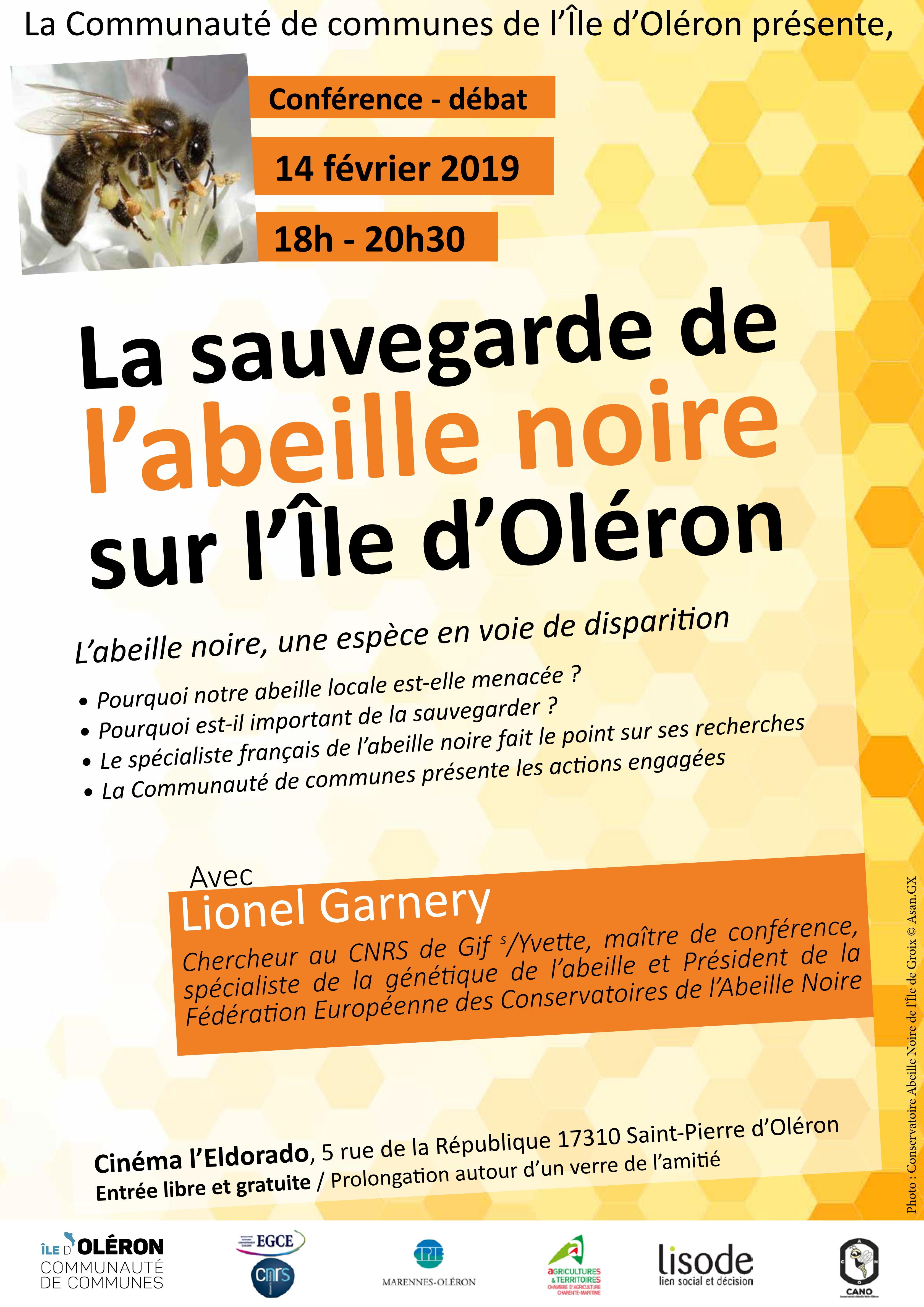 conf débat ile do abeille noire