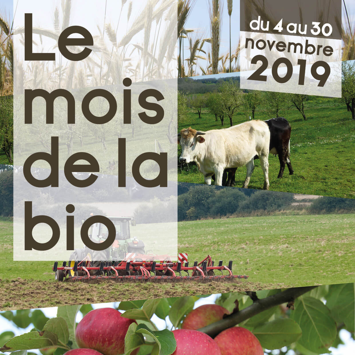 csm_mois-de-la-bio2019_310x310_5144b4998d.jpg
