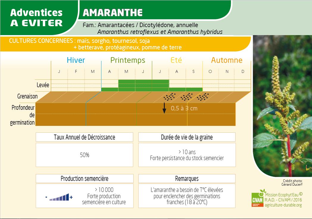 GCE Mission ecophyteau carte Adventices recto