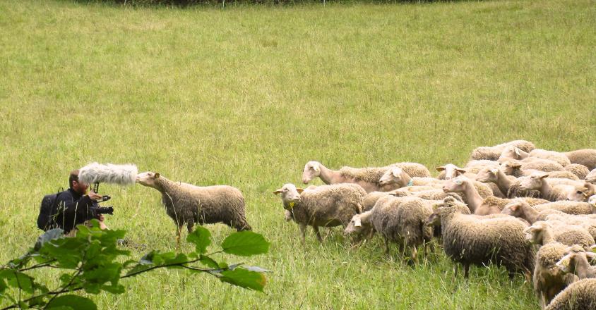 Bienveillance paysanne Oliver Dickinson en tournage 2