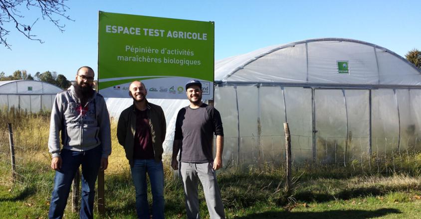 2018 10 entree test croisee plantes