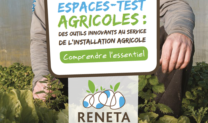 arton438 sxKOwUm.original