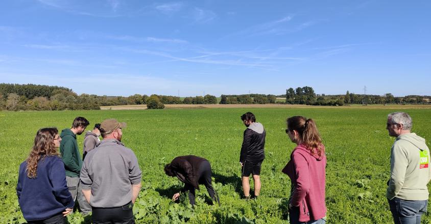 Rencontre entre éleveurs Charente Limousine et céréaliers Ruffecois sur une ferme du groupe