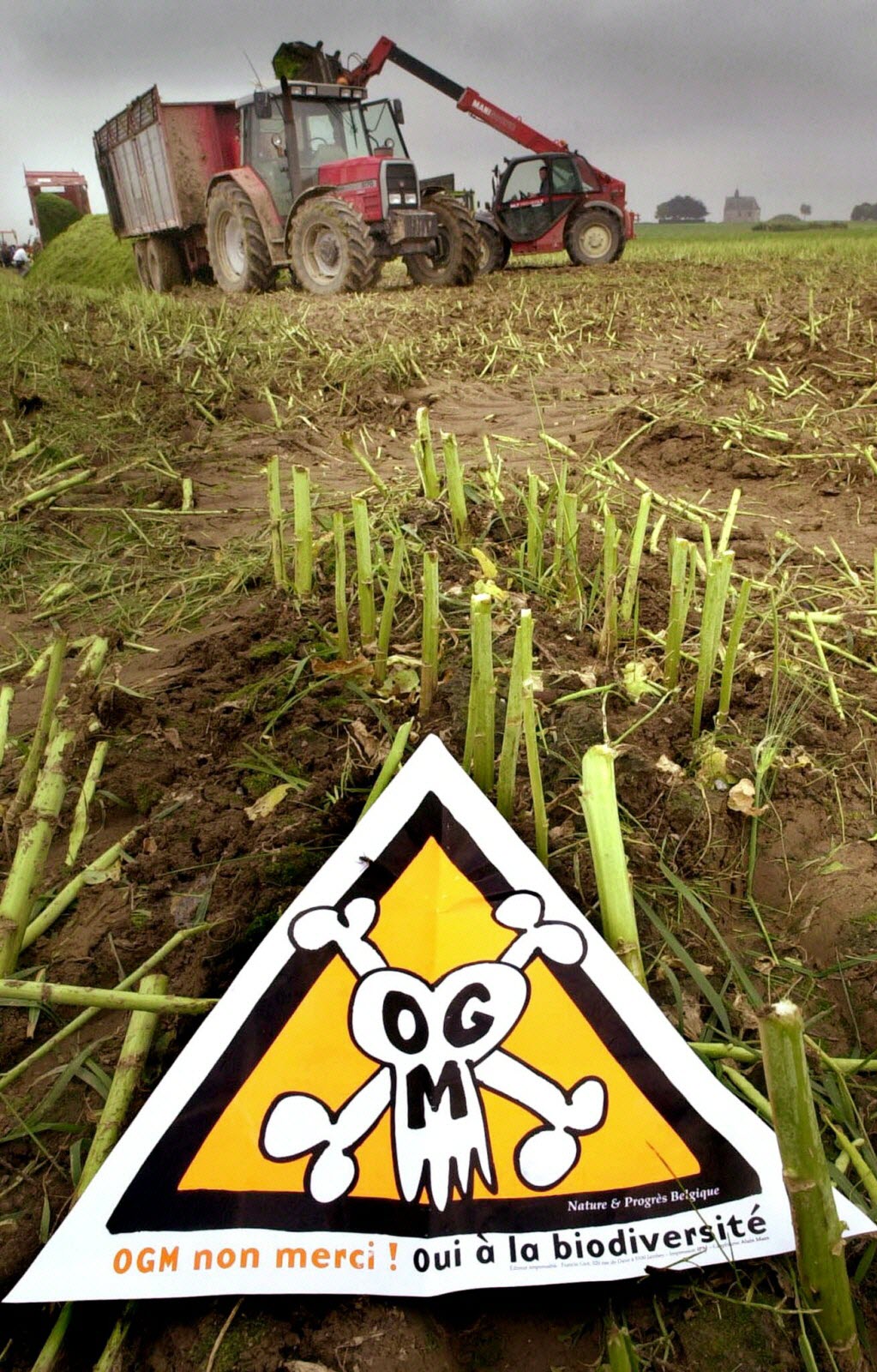 destruction d une parcelle ogm en belgique la mobilisation contre les cultures n empeche pas les importations photo afp 1582274587