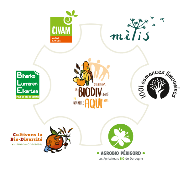 roue CBD NA RVB 012023